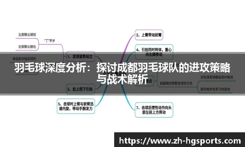 羽毛球深度分析：探讨成都羽毛球队的进攻策略与战术解析