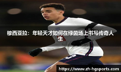 皇冠体育官方网站